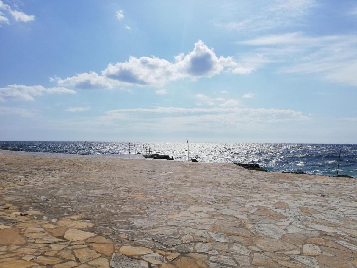 Apartment Nona Tar-Vabriga Dış mekan fotoğraf