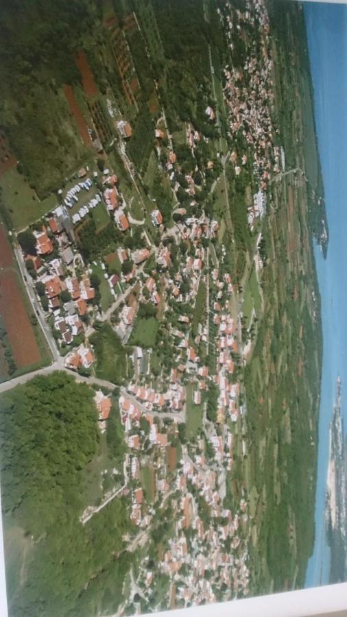 Apartment Nona Tar-Vabriga Dış mekan fotoğraf